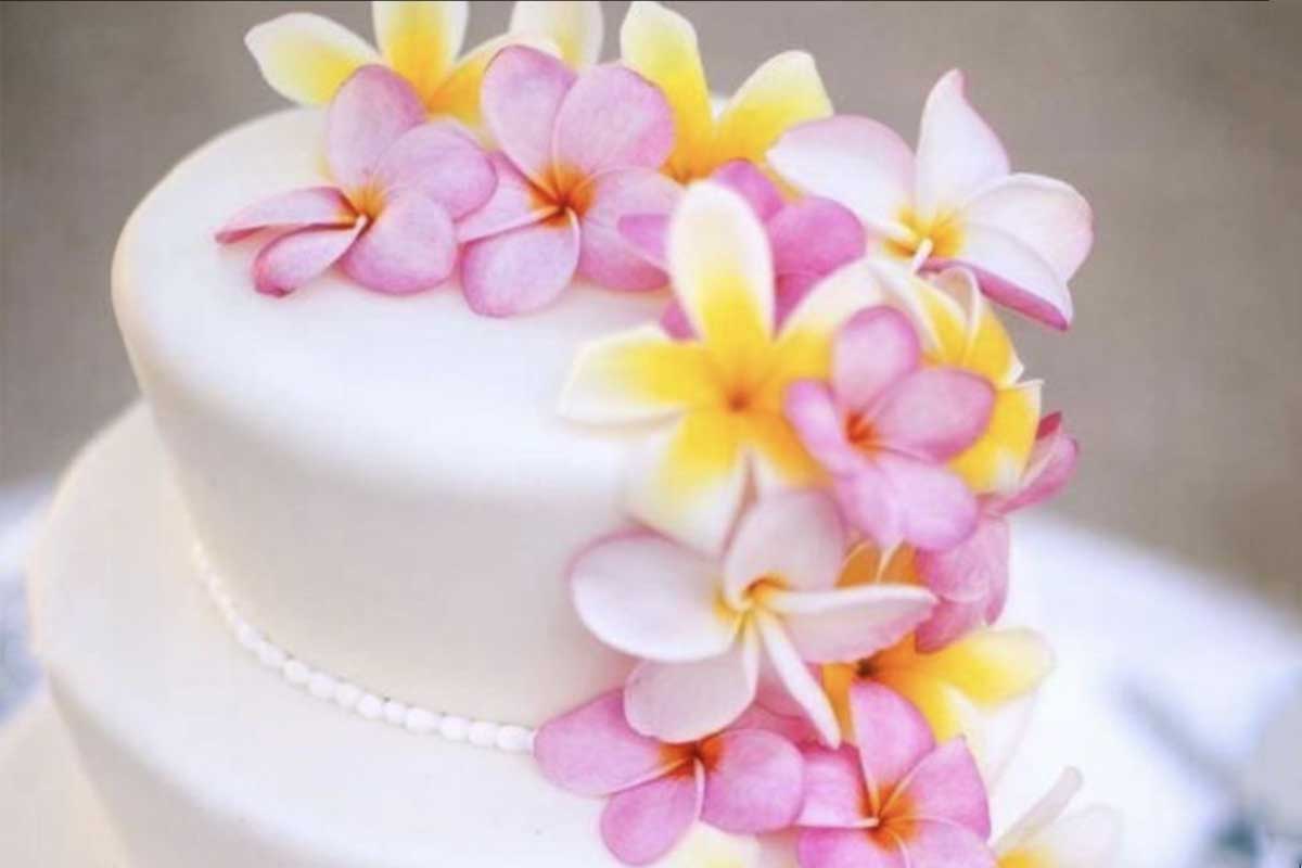 A close-up of a white, two-tiered cake from a Maui bakery, decorated with vibrant pink, yellow, and white plumeria flowers cascading down the side. A string of small white pearls wraps around the base of the top tier.